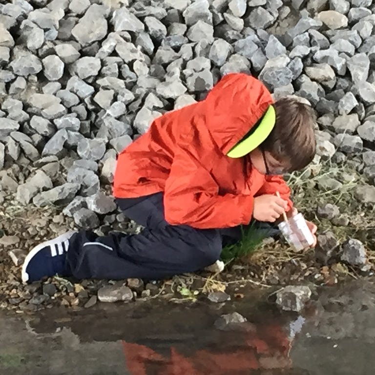 Junge in roter Jacke schaut mit Becherlupe in einen Bach.