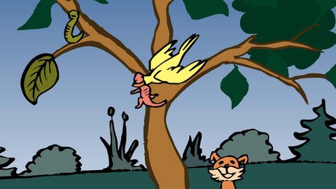 In der Animation Nahrungskette im Wald frisst ein Vogel eine Eidechse. Die Eidechse ist ein Konsument zweiter Ordnung, der sich von tierischen Pflanzenfressern ernährt. Der Vogel wird als Drittverbraucher oder Konsument dritter Ordnung bezeichnet.