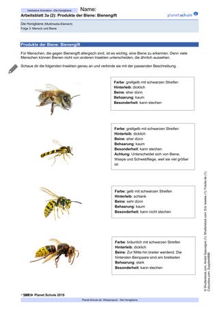 Arbeitsblatt 3a (2): Bienengift