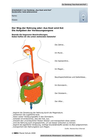 Biologie Das Verdauungssystem Aus Kost Wird Kot Unterricht