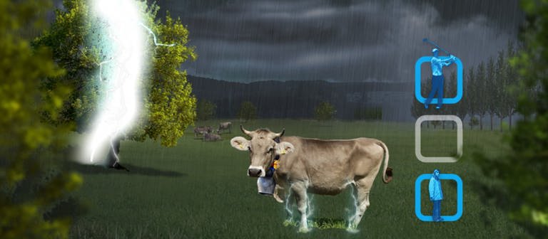 Eine Kuh steht im Lernspiel Blitzsimulator auf einer Wiese neben einem Baum, als ein Blitz darin einschlägt. Doch die Kuh ist weit genug entfernt, dass ihr die über den Bodenstrom abgegriffene Spannung nicht gefährlich wird.