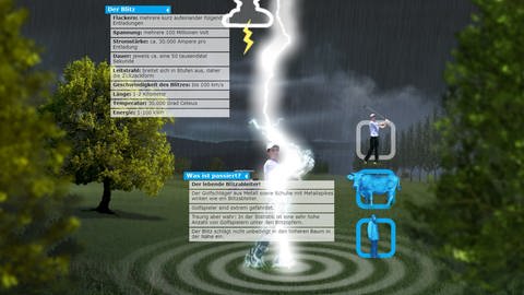 Im Lernspiel Blitzsimulator wird ein Golfspielfer von einem Blitz getroffen. Zwei Tafeln geben Auskunft über Merkmale des Blitzes und erklären, warum die simulierte Situation lebensgefährlich sein kann.