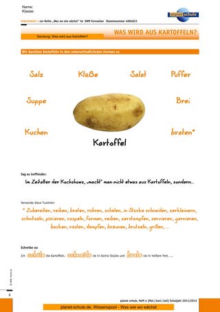 Arbeitsblatt 1: Zubereitungsformen Kartoffel