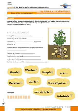 Arbeitsblatt 5: Lückentext zur Kartoffelpflanze