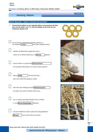 Materialblatt 5: Station 5: Von der Ernte zum Brotbacken