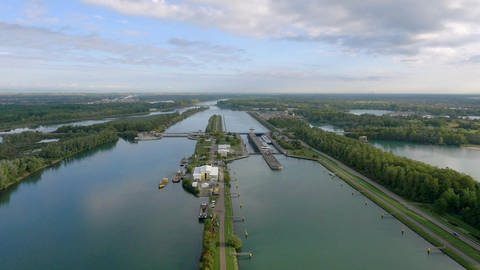 Eine einschneidende Veränderung: die Rheinbegradigung durch Tulla