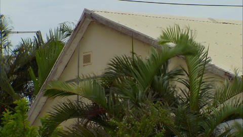 Ein helles Haus mit Palmen.