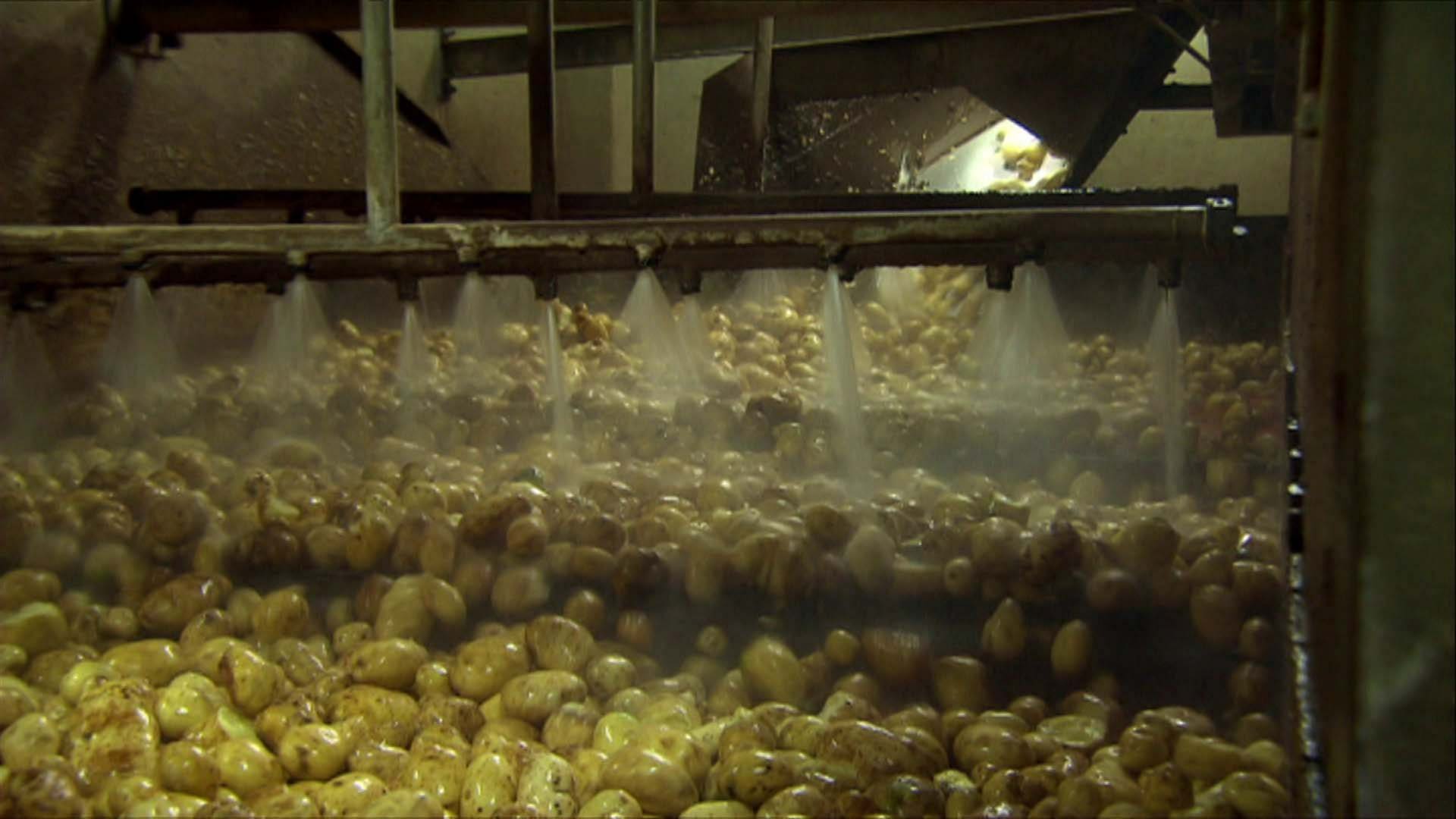 Wie wird aus Kartoffeln Plastik? · Frage trifft Antwort