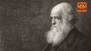 Charles Darwin, Naturforscher