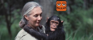 Jane Goodall, Tierforscherin