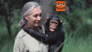 Jane Goodall, Tierforscherin