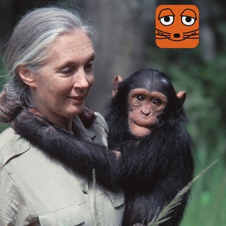 Jane Goodall, Tierforscherin