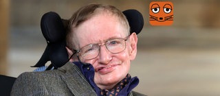 Stephen Hawking, Physiker