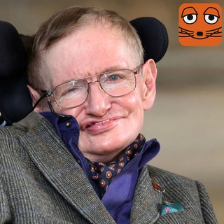 Stephen Hawking, Physiker