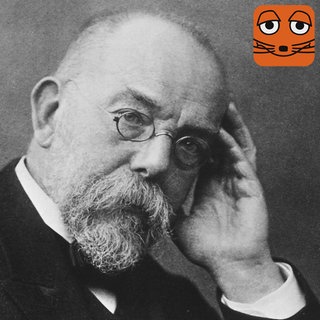 Robert Koch, Mediziner und Bakteriologe