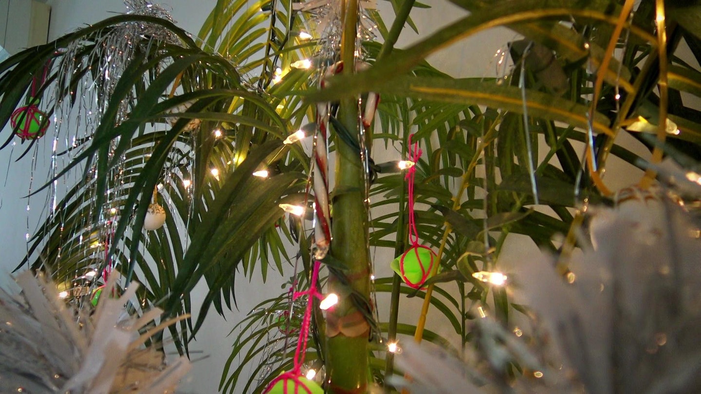 Eine Palme ist mit Lichterketten und Zuckerstangen weihnachtlich geschmückt