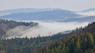Blick über die Berge im Schwarzwald - teilweise unter Wolken. Der Wald ist Lebensraum für viele Pflanzen und Tiere.