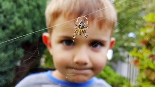 Im Vordergrund eine Spinne in ihrem Netz, dahinter ein Junge, der sie skeptisch beobachtet