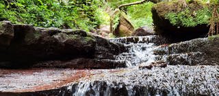 Ein Bach, der durch den Wald über Steinplatten einen kleinen Wasserfall bildet.