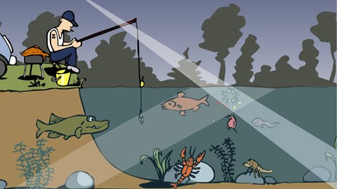 In der Animation zur Nahrungskette im Teich nimmt eine Alge durch das Sonnenlicht und die Mineralien aus dem Wasser Nährstoffe auf. Wird sie vom nächsten Glied der Nahrungskette gefressen, gibt sie diese Nährstoffe an die Konsumenten weiter.