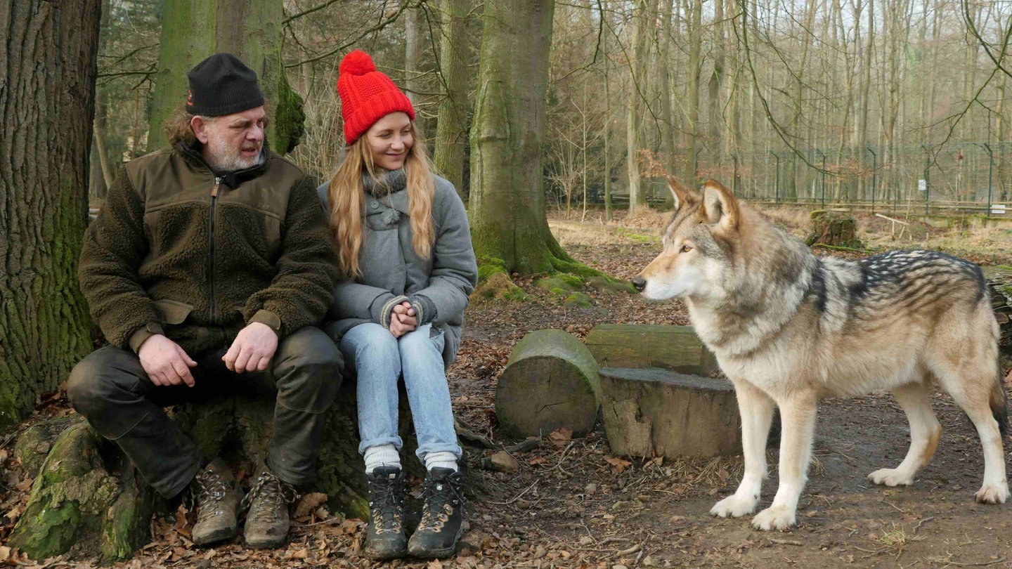 Du bist der nächste Wolf