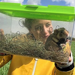 neuneinhalb-Reporterin Jana hält eine Transportbox mit einem Feldhamster.