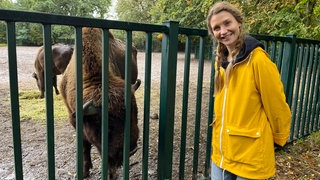 Screenshot aus dem Film "Vom Zoo in die Wildnis – Wie Wisente in ihre Heimat zurückkehren"