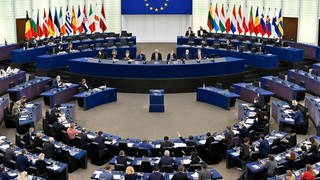 Abstimmung im Plenarsaal des Europäischen Parlaments im Jahr 2022