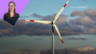 Wahl-O-Mat zur Bundestagswahl 2025: Thema Erneuerbare Energien - Windrad