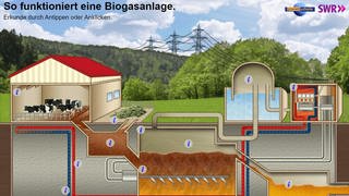 In der Animation zur Biogasanlage sieht man eine solche Anlage mit ihren Bestandteilen. Der Rohstoff wird durch den Abfall von Kühen bereitgestellt und wandert in den Fermenter. Dort entsteht Biogas, mit dem im Blockheizkraftwerk dann Wärme und Strom prdouziert wird.