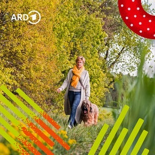 Ein Mensch geht allein in der Natur mit einem Hund spazieren