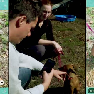 Auf der Suche nach KI: Dennis Horn will Künstliche Intelligenz verstehen und schaut sich eine Hunderassen-App auf dem Handy an.