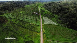 Blick von oben: Auto in indonesischer Landschaft