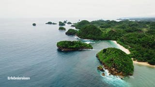 Bewaldete indonesische Küstenlandschaft mit Stränden und Meer von oben