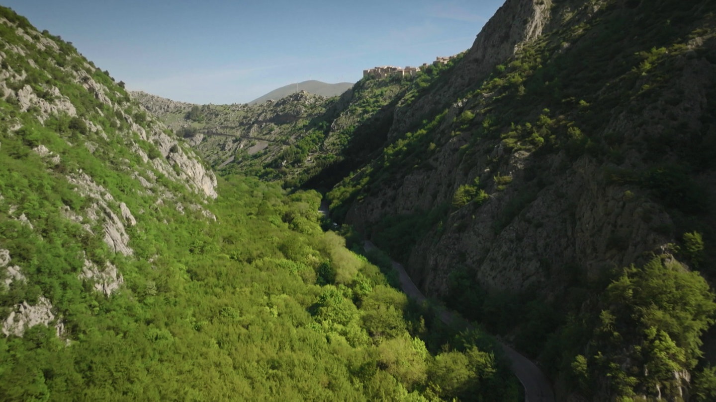 Blick auf ein bewaldetes Tal in den Abruzzen