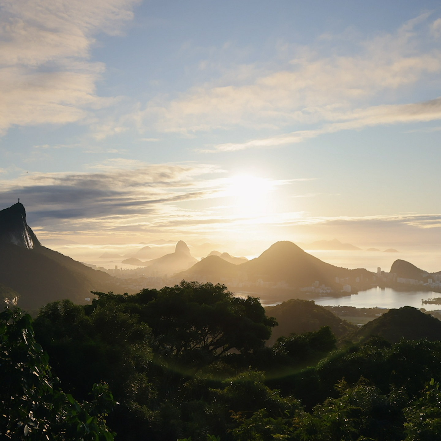 Brasilien - Rettung Für Den Regenwald? Artenvielfalt Schützen - Planet ...