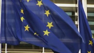 Warum gibt es 12 Sterne auf der EU-Flagge?