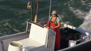 Hummerfischerei in der Penobscot Bucht