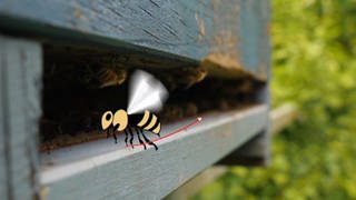 Zeichnung einer Biene vor ihrem Bienenstock.