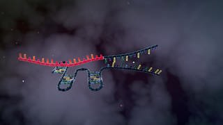 CRISPRCas - die revolutionäre Genschere