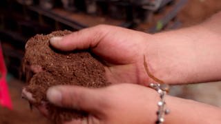 Bodenaufbau: kleine Schritte, große Wirkung