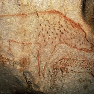 Europas erste Höhlenkünstler