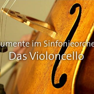 Das Violoncello · Instrumente im Sinfonieorchester