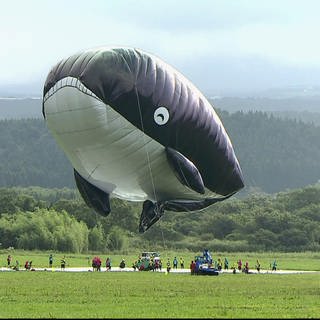 Ein riesiger Heißluftballon in Walform schwebt über einer Wiese.