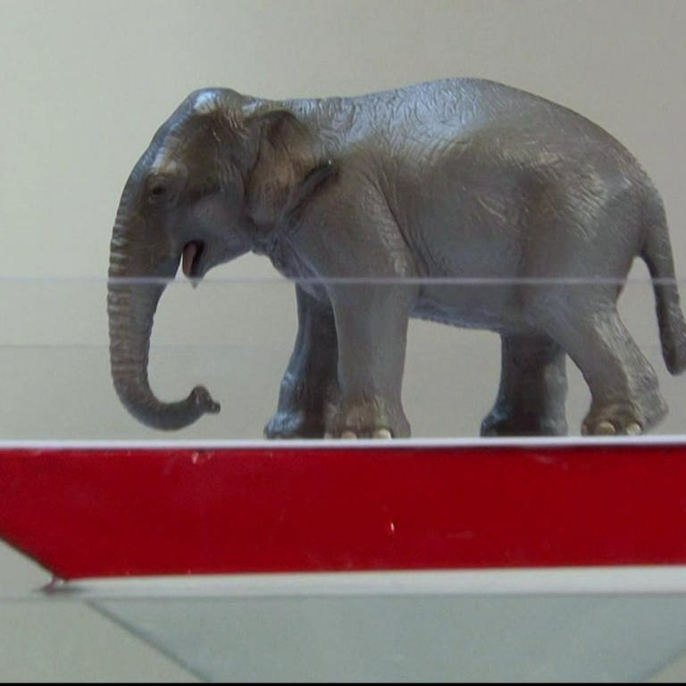 Wie wiegt man einen Elefanten ohne Waage? · Frage trifft Antwort