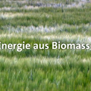 Energie aus Biomasse · total phänomenal