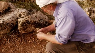 Göbekli Tepe: Der älteste Tempel der Menschheit