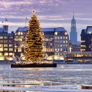 Weihnachtsbaum auf der Alster in Hamburg.