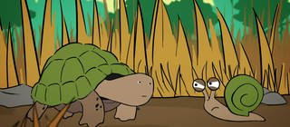 Mobbing: Eine Schnecke schaut eine Schildkröte böse an.