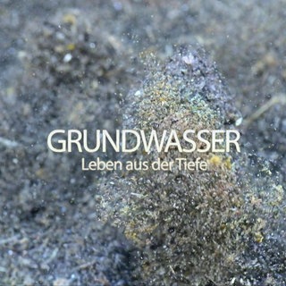 Lebensquelle Grundwasser